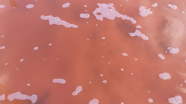 На озере Сасык-Сиваш