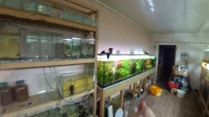 ПЕРВЫЕ ПОТЕРИ, ЧУТЬ ЧУТЬ ПОРАБОТАЛ