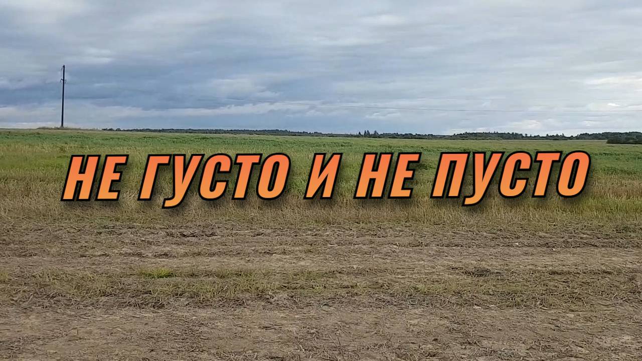 Сменили три места, но с находками беда. смотреть онлайн