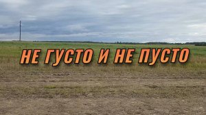 Сменили три места, но с находками беда.