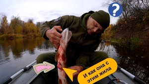 Щука с Аномалией, как она с этим жила?! 🤔