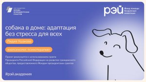 Появление собаки в доме: адаптация и преодоление стресса для всех