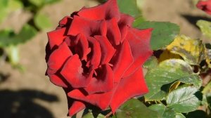 22==09==2025  ПВН  КМР   (189)