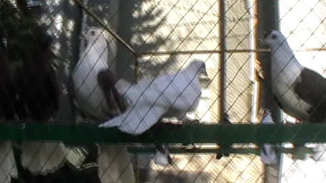 27.09.2025г. Ярмарка в Харцызске.