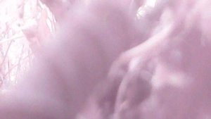 Удаление садовой поросли