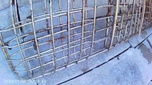 Реальный день кота