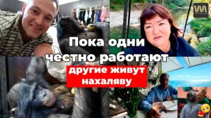 Пока одни честно работают, другие живут нахаляву, 27 сентября