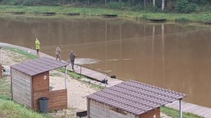 Forest Fishing 27.09.25