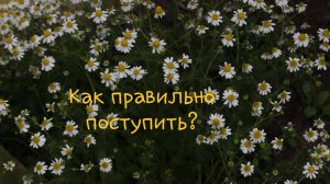 Как правильно поступить? Божественная логика и неразрешимые дилеммы.