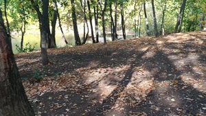 Душевно. *Грешу и каюсь*.А кто в этой жизни без греха. По листве так приятно ходить 🚶👣.