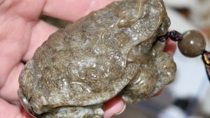 Нефрит _ЧерепахаДракон_ сертификат 0295 _Удача/Изобилие/Богатство_