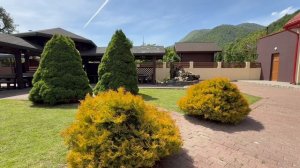 Летний вайб в отеле Вертикаль | Красная Поляна