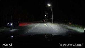 Лис пешеход