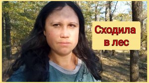 Сходила в лес, влог 24,09,2025