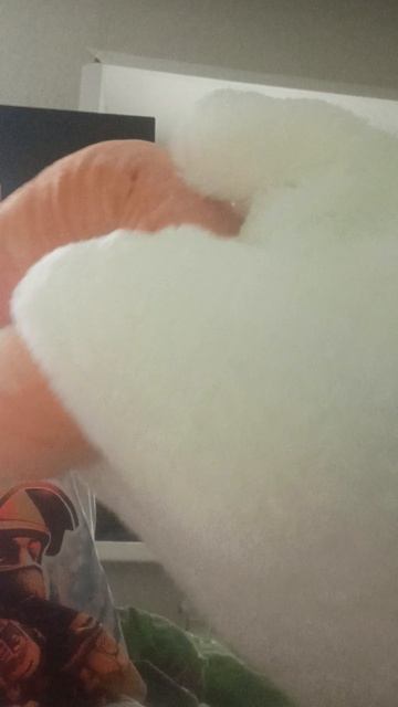 обзор на гуся 🪿🪿 смотреть онлайн