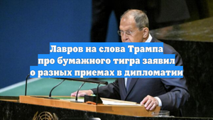Лавров на слова Трампа про бумажного тигра заявил о разных приемах в дипломатии