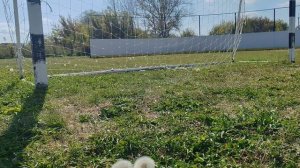 27-09-2025 трава зеленая осенью в деревне