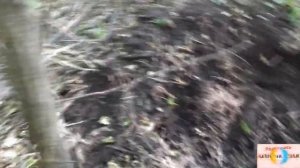 ПРИМОРЬЕ. поиск сакровищей.