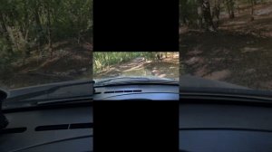 Покатушки из Кабардинки в Новороссийск.mp4