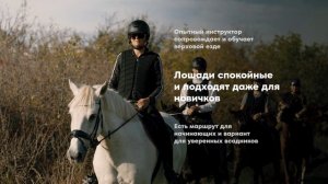 Конные прогулки ТН