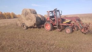 Трактора🚜 Т-16. Т-40 вывозим сено 24 сентября 2025 год Иркутская область Усть- Удинский район
