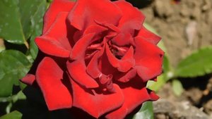 22==09==2025  ПВН  КМР   (210)