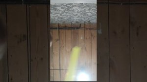 школа 1 серия