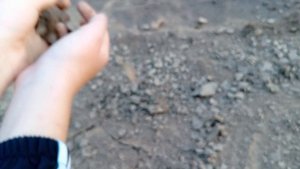 осенний АСМР на природе #осень #осенний вайб #АСМР #АСМР на природе