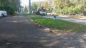 Осенний листопад Москва