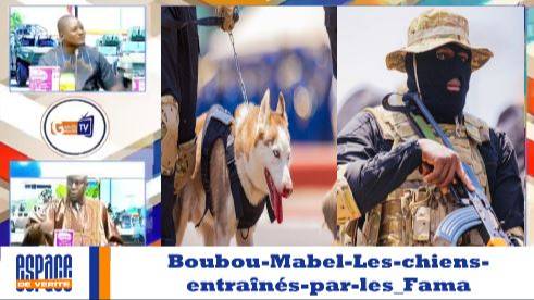 Boubou-Mabel-Les-chiens-entraînés-par-les_Fama