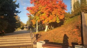 Влог / 25-26.09.2025 / Съездили на набережную и поели пиццу + странная прогулка