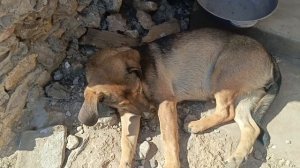 Херсонщина 27 сентября 2025 года