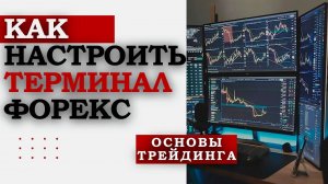 Как настроить терминал Metatrader для торговли на Форекс