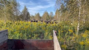 IMG_5315 Охота на Кабана