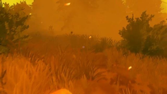 Финал Firewatch #5