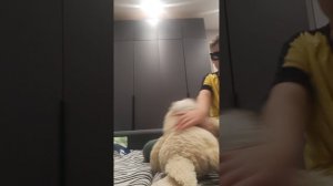 20250927_204824.mp4