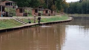 Forest Fishing 27.09.25