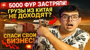 5000 Фур Заблокированы! Задержки Грузов из Китая Парализуют WB и Ozon. Как Спасать Поставки?