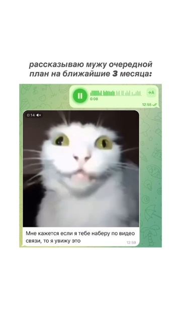 У меня есть шикарный план 📈