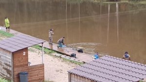 Forest Fishing 27.09.25