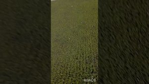 красивые голы