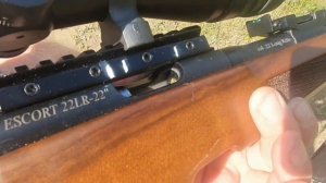 Карабин Hatsan Escort Elite .22 lr — не такая уж и элита?!