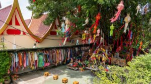 Mash: гражданка РФ оказалась в трудовом рабстве в Таиланде