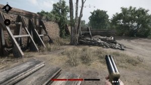 Hunt  Showdown - Пауки?