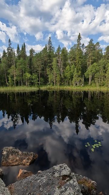 Тихое место