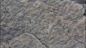 Обсуждение_темы_№_9__Око_за_око_