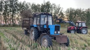 IMG_5324 Охота на Кабана