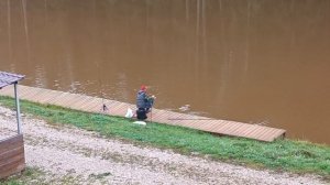 Forest Fishing 27.09.25