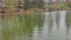 WhatsApp Video 2025-09-27 at 09.38.07