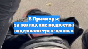 В Приамурье за похищение подростка задержали трех человек